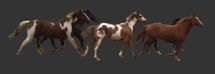 running rez pony horses from interactive web-based composite photography project by contemporary Native American artist Jude Norris aka Bebonkwe
